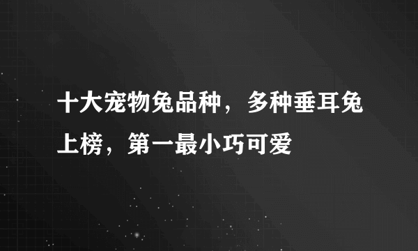 十大宠物兔品种，多种垂耳兔上榜，第一最小巧可爱