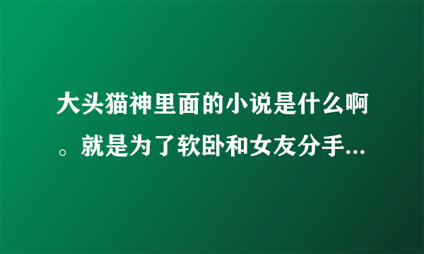 大头猫神里面的小说是什么啊。就是为了软卧和女友分手那个里面的。