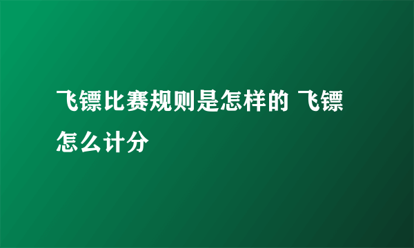 飞镖比赛规则是怎样的 飞镖怎么计分