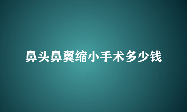 鼻头鼻翼缩小手术多少钱