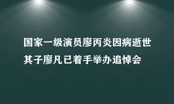 国家一级演员廖丙炎因病逝世其子廖凡已着手举办追悼会