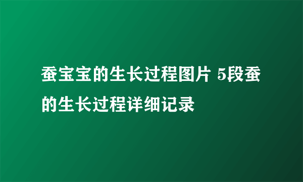 蚕宝宝的生长过程图片 5段蚕的生长过程详细记录