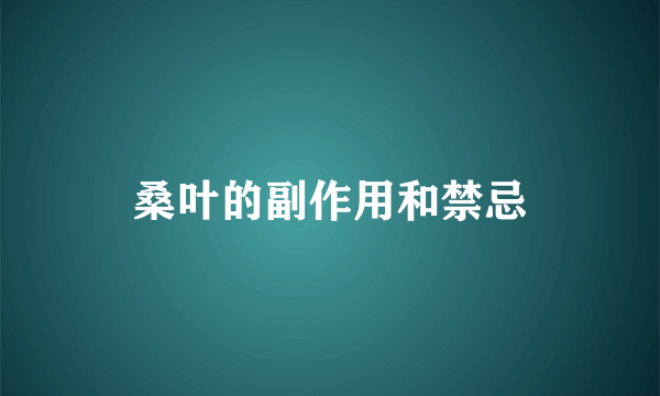 桑叶的副作用和禁忌