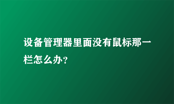 设备管理器里面没有鼠标那一栏怎么办？