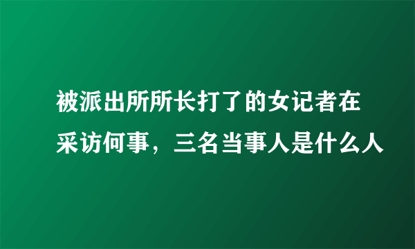 被派出所所长打了的女记者在采访何事，三名当事人是什么人