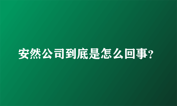 安然公司到底是怎么回事？