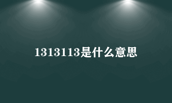 1313113是什么意思