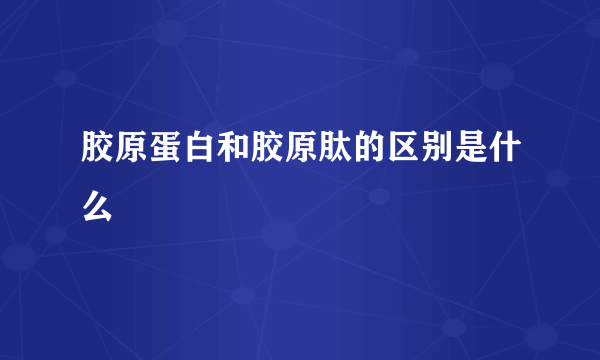 胶原蛋白和胶原肽的区别是什么