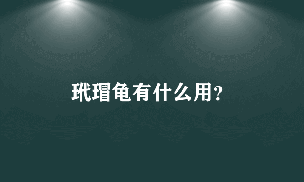 玳瑁龟有什么用？