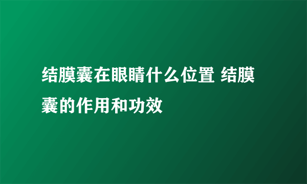 结膜囊在眼睛什么位置 结膜囊的作用和功效