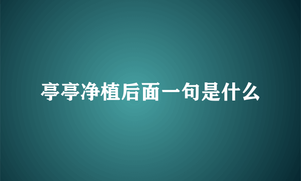 亭亭净植后面一句是什么