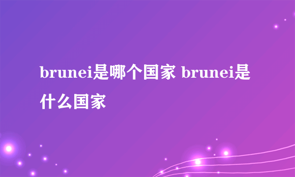 brunei是哪个国家 brunei是什么国家