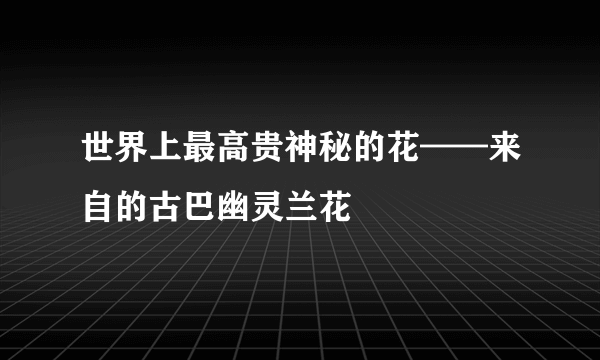 世界上最高贵神秘的花——来自的古巴幽灵兰花