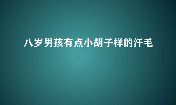 八岁男孩有点小胡子样的汗毛