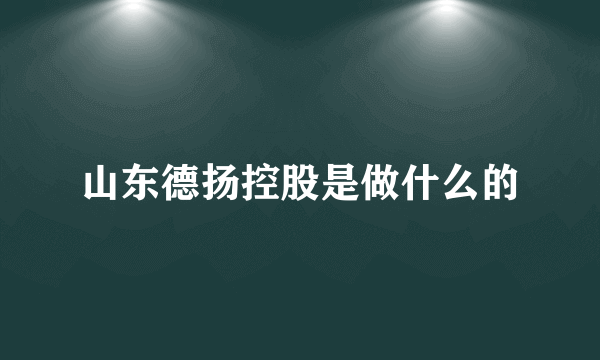 山东德扬控股是做什么的