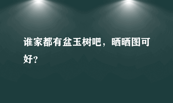 谁家都有盆玉树吧，晒晒图可好？