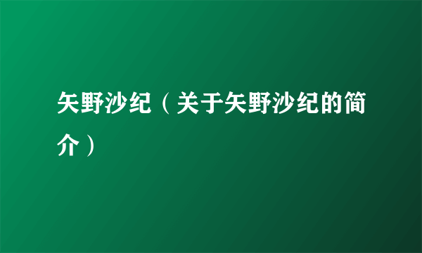 矢野沙纪（关于矢野沙纪的简介）