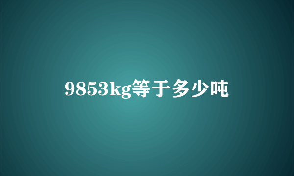 9853kg等于多少吨