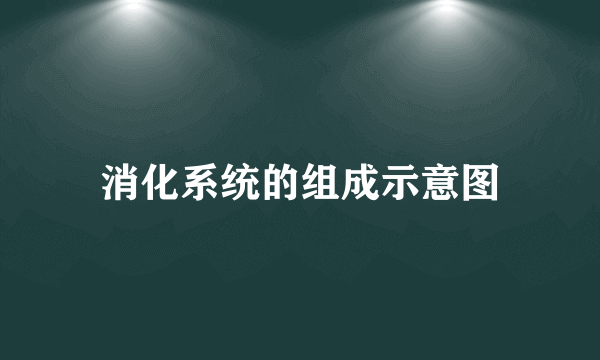 消化系统的组成示意图