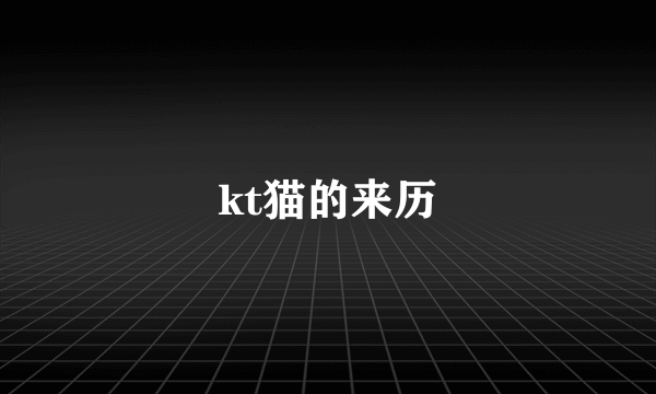 kt猫的来历