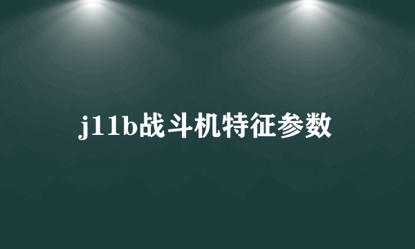 j11b战斗机特征参数