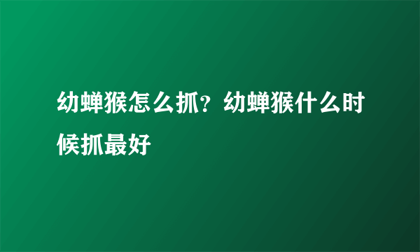 幼蝉猴怎么抓？幼蝉猴什么时候抓最好