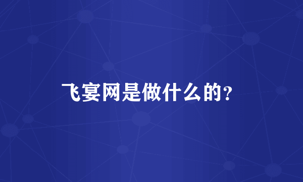 飞宴网是做什么的？