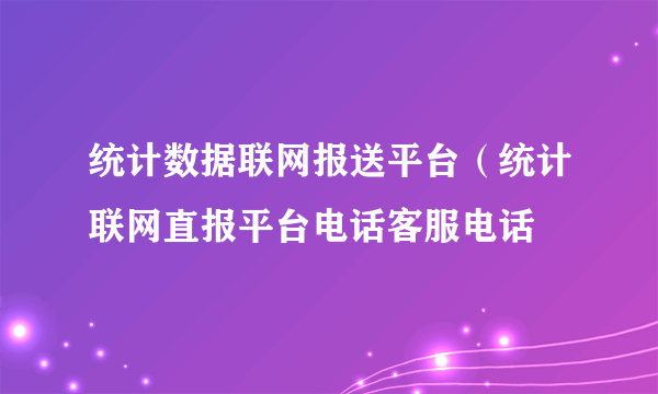 统计数据联网报送平台（统计联网直报平台电话客服电话