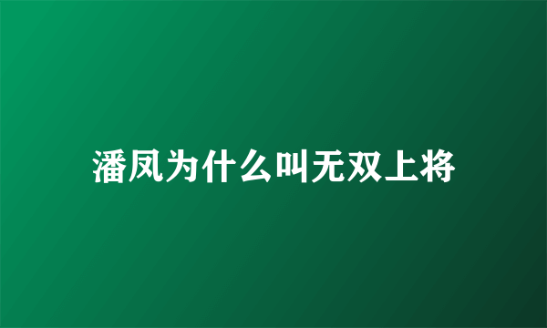 潘凤为什么叫无双上将